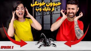 از دارک وب حیوون خونگی سفارش دادیم we bought a scorpion off the dark web