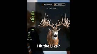 One of the BIGGEST Great Ones Ever! theHunter: Call of the Wild