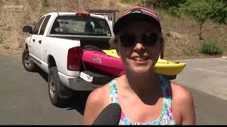 Milfoil weed takes over Hayden Lake