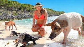 Exploring New Bahamian Islands | Spearfishing & Swimming Pigs in the Exumas