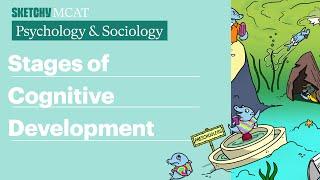 Stages of Cognitive Development (Psychology/Sociology) | Sketchy MCAT