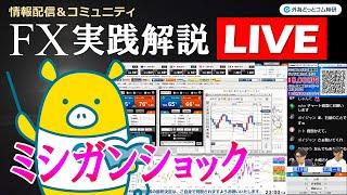 FX実践解説、ミシガンショック「消費者マインド低下、期待インフレ急上昇」（2025年3月14日)