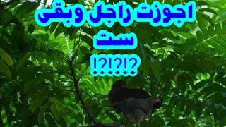اجوزت_راجل_وخلفت_منه_وبعدين_اكتشفت_انه_امرأه ⁉️⁉️⁉️