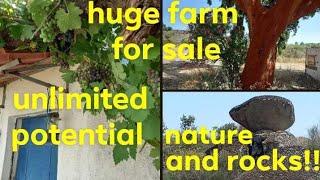 Incredible 17 ha Portugal Farm For Sale