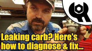 Carb leaking fuel? Here's how to diagnose the problem...#1825