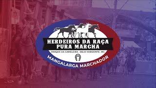 31ª HERDEIROS DA RAÇA PURA MARCHA - DIA 2
