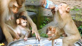 Libby hug baby Rainbow to have peanuts & milk breakfast, Rojo wants all bottle peanuts LOL