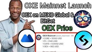 OEX Mainnet Update | OEX Token Price |  OpenEX Mainnet Launch Soon #oex #come