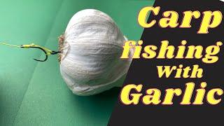 Good bait for Carp fishing and ways to garlic like you've never seen before