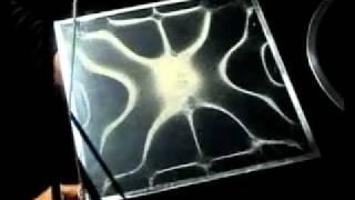 ToneSpectra.com ~Resonance Phenomena (Chladni Plates)