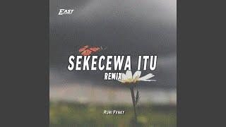 DJ SEKECEWA ITU (Remix)