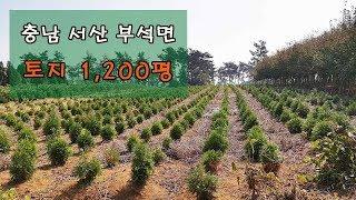 서산부동산 땅 토지 투자 전원주택지 매매 24,000만_ 카톡상담 ID : korebs  부석 웰빙특구 산업단지 인근