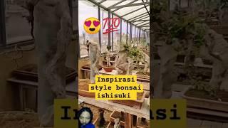 Art of Bonsai ishisuki #plants #bonsai #kereaktipchannel #shortsvideo #shorts