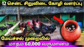 12 சென்ட் பரப்பளவில் சிறுவிடை கோழி வளர்ப்பு | twelve cent pure country chicken farm vlog in tamil