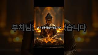 자식에게 다 줬는데 왜 이렇게 서운할까요 #부처님 #부처님말씀 #명언 #명언 #1분명상