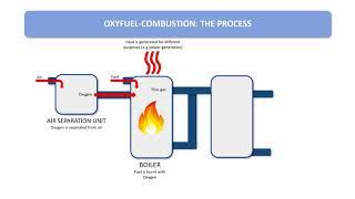 Carbon capture and storage technologies for the sustainable use of fossil fuels