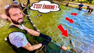 Cet étang se vide après 45 ans et les gros poissons font surface !! (On les pêche pour les sauver)