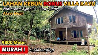 Lahan Kebun Murah Bonus Villa, Kebun Durian, Kelapa, Cengkeh, Lengkeng | ABAH PROPERTI