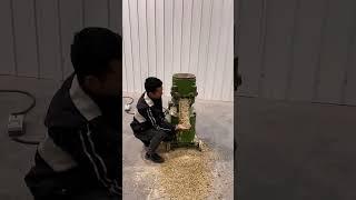 Household two-phase electricity 200 kg per hour cattle, sheep and pig breeding feed pellet machine