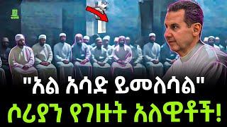 Syria | የሶሪያ ሚጥራዊው ማህበር አላዋይት ተረክ ሚዛን Salon Terek