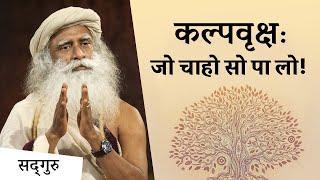 अपनी हर मनोकामना पूरी करने का तरीका #LawOfAttraction | Sadhguru Hindi