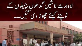 Multan ke nishtar hospital ki chat pe lawarish lashein cheel kawaon ki shikar | 14th October 2022