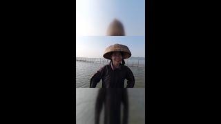 《清晨大丰收，阿渔妹自制秘制虾干，美味停不下来！》