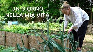 Un giorno nella vita in campagna | Donna di casa con Amor | Routine di una mamma