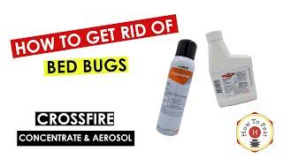 How To Get Rid of Bed Bugs - Crossfire Bed Bug Concentrate and Aerosol - How To Pest