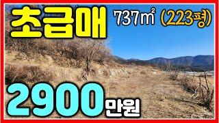 밀양땅 단돈 2900만원에 저렴하게 가져가세요~ 737㎡ (223평)