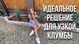 КАКОЙ МОЖЖЕВЕЛЬНИК ПОСАДИТЬ, ЕСЛИ НА УЧАСТКЕ МАЛО МЕСТА?