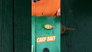 carp bait #fishing #usa #carp #live #campping #carpfishing #travel #lifehacks #flyfishing #trending