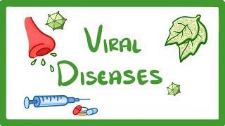 GCSE Biology - What Is a Virus? - Examples of Viral Disease (HIV, Measles & TMV)  #36