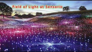 Visiting "Field of Light at Sensorio" - with RuthLes Productions