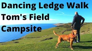 Dorset walk and campsite, Toms field and dancing ledge, Campervan, dogs