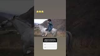 Асхаб Тамаев Арби Эмиев Сториз