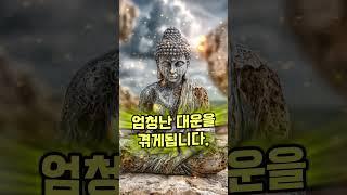 나무 부처님 #무량수경 #아미타경 #부처님