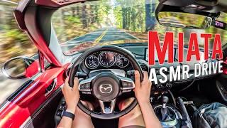 Avenue of the Giants POV Drive | 2024 Mazda Miata ND3