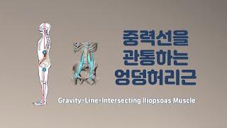 [ 마름모코어 시즌 3-10 ] 중력선을 관통하는 엉덩허리근 (장요근) / Gravity-Line-Intersecting Iliopsoas Muscle