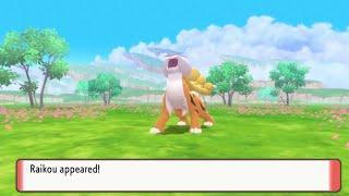 Shiny Raikou in Brilliant Diamond Using The Blink Method