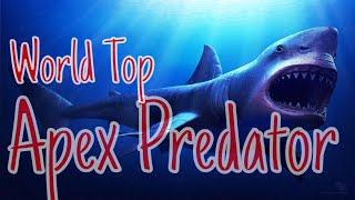 Apex Predators: The World's Top Predator Species️