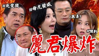 願望｜EP173 麗君憤怒值破表！怒罵金鋒死愛錢抱怨正龍不夠好 趙家大吵霏霏道歉「我不是親生的」 Desires│Vidol.tv