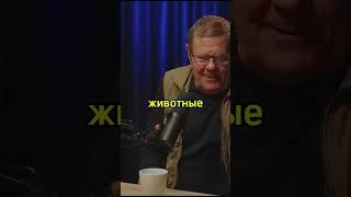 РАССЕЛЕНИЕ ЛЮДЕЙ ПО ГАЛАКТИКЕ. БОРИС ШТЕРН #ШТЕРН#СУРДИН#семихатов #наука #рекомендации