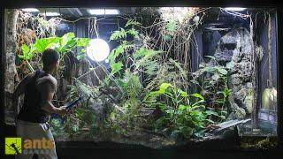 UPDATE on My Giant Cloud Rainforest Vivarium 1.5 Yrs Later