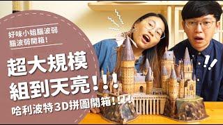 超大規模，組到天亮！！哈利波特3D拼圖開箱！！【腦波弱開箱】EP41