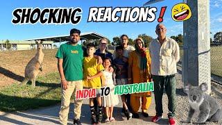 PARENTS KO AUSTRALIA KAISA LGA? | SHOCKING REACTION