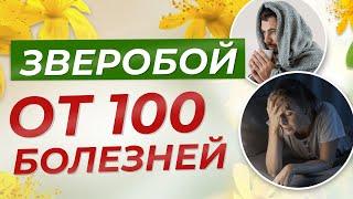 ЗВЕРОБОЙ ОТ СТА БОЛЕЗНЕЙ! ПРИРОДНЫЙ АНТИДЕПРЕССАНТ