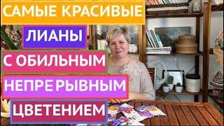 САМЫЕ НЕОБЫЧНЫЕ ЛИАНЫ, КОТОРЫЕ РАСТУТ В СРЕДНЕЙ ПОЛОСЕ!