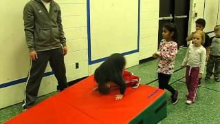 PE Somersault Lesson Kindergarten