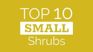 Top Ten Small Shrubs